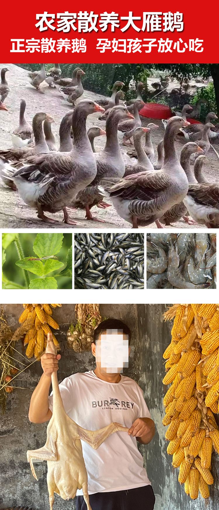 淘宝详情页